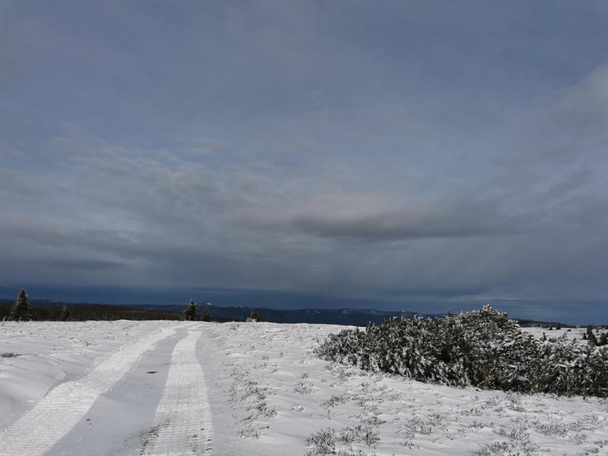Gite Du Cerf Birkenwald Exterior foto