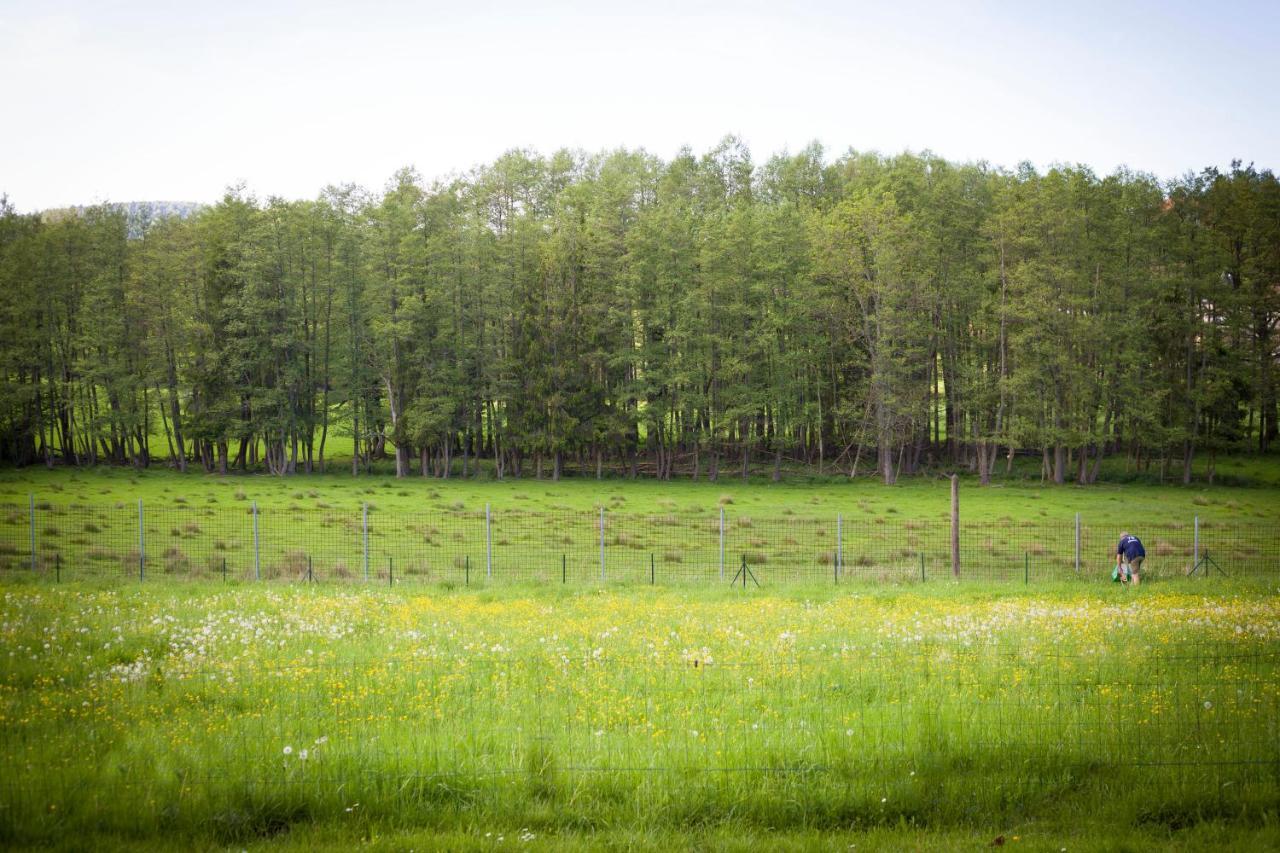 Gite Du Cerf Birkenwald Exterior foto